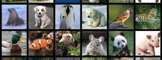 ¿Qué animal va más contigo?