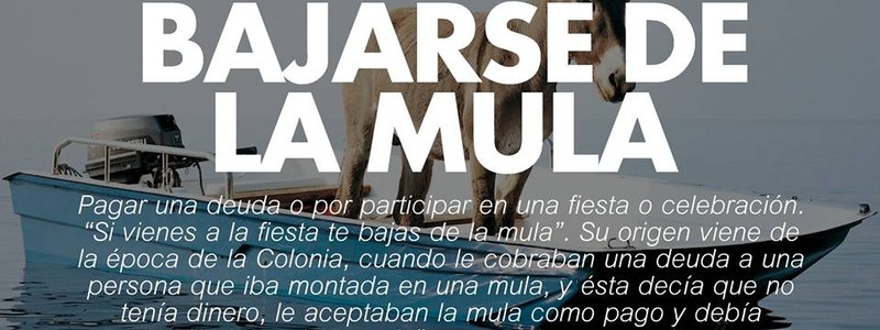 aquien te pareses de los personasjes de soy luna