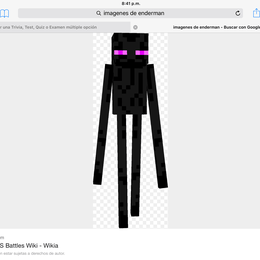 Que hace el endermand - Que sabes de minecraft