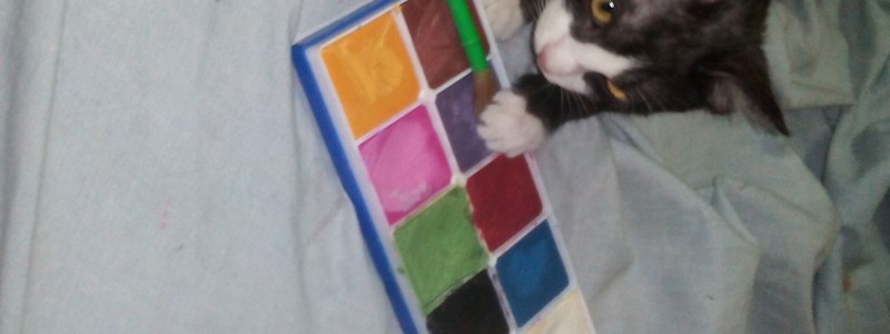 Tu mascota ideal