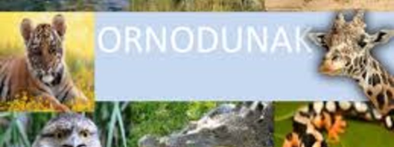 Ornodunak
