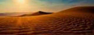 Que probabilidad hay de que sobrevivas en el desierto