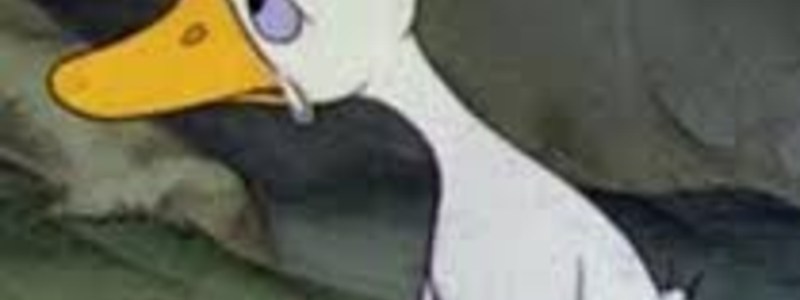 El patito feo