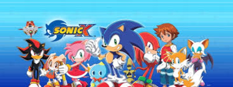 QUE PERSONAJE DE SONIC X ERES
