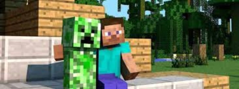 Cuanto Conoses de steve de minecraft