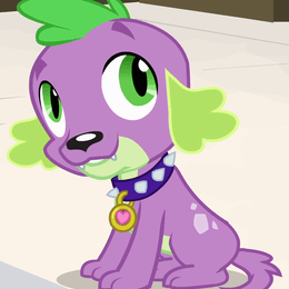 como se llama el perro de Twilight del mundo Humano - &iquest;cuanto sabes de my little pony?