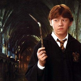 &iquest;CU&Aacute;NTAS VARITAS LLEGO A ROMPER EL ACTOR DE HARRY POTTER? - &iquest;CU&Aacute;NTO SABES DE HARRY POTTER?