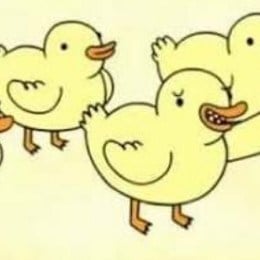En el cap&iacute;tulo de los patitos huerfanitos&iquest;donde encontraron los patitos? - &iquest;cuanto sabes de un show m&aacute;s?