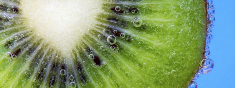 ¿Llevas una vida saludable?