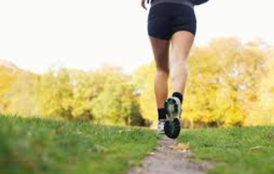 &iquest;Te gusta el deporte? - &iquest;Qu&eacute; tan furioso eres?