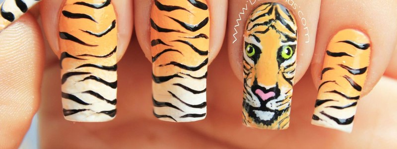 que animal eres?