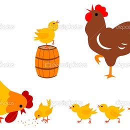 si un gallo pone un huevo en una monta&ntilde;a y el viento lo mueve &iquest;a d&oacute;nde se cae el huevo? - test de el conocimiento