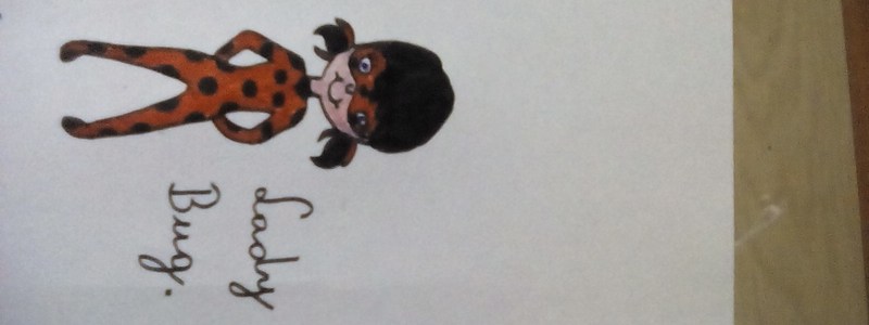 cuanto sabes de lady bug?