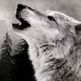 te consideras libre - que animal eres