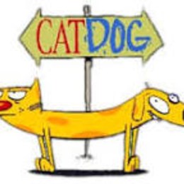 Cu&aacute;l es el creepypasta de cat dog - Cuanto conoces a los Creepypastas 