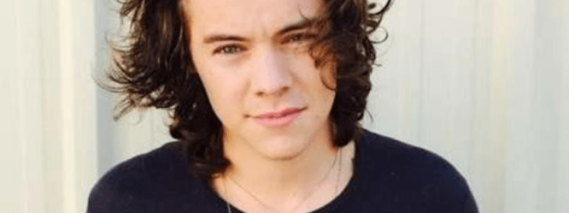 Cuanto sabes de Harry Styles 