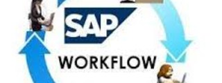 SAP - WorkFlow (Contenedores)