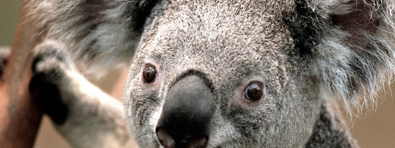 &iquest;Que conoces de minecraft?