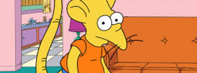 Que tanto eres un Saad (Niño Rata)
