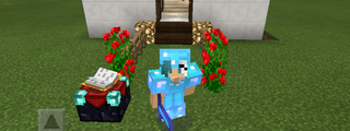 Cuanto sabes de minecraft?
