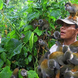 -Colombia es 7 veces m&aacute;s peque&ntilde;o que Brasil y tiene casi el mismo n&uacute;mero de especies (55.000 mil), que representan 20% de las especies del mundo.   El Amazonas aporta la mayor parte. - Que tanto sabes de Colombia?