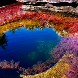 Puesto a nivel mundial en recursos h&iacute;dricos: 1.200 r&iacute;os -258 son grandes r&iacute;os-, 1.600 lagos, 4.500 micro cuencas y 1.900 ci&eacute;nagas. Ca&ntilde;o Cristales, Meta. - Que tanto sabes de Colombia?