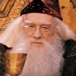 &iquest;Cu&aacute;l es el nombre completo de Dumbledore? - &iquest;Qu&eacute; tan Potterhead eres?