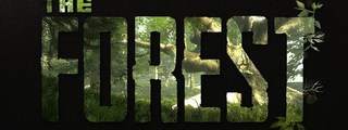 que tanto sabes de The Forest?