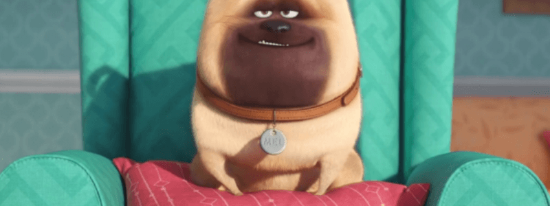¿que perro eres..?