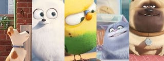 que animal de la pelicula mascotas eres