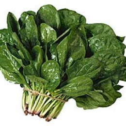 QUE VERDURA ES ESA QUE HAY EN LA IMAGEN - CUANTO SABES SOBRE VERDURAS