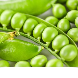 como se llama la verdura de la imagen - CUANTO SABES SOBRE VERDURAS