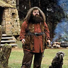 En el primer libro&iquest;Cual es la primera frase que dice Hagrid al entrar a casa de los Dursley' - Cuanto sabes de Harry Potter