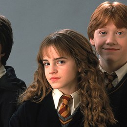 &iquest;Cuando se hacen aigos Harry, Ron y Hermione? - Cuanto sabes de Harry Potter