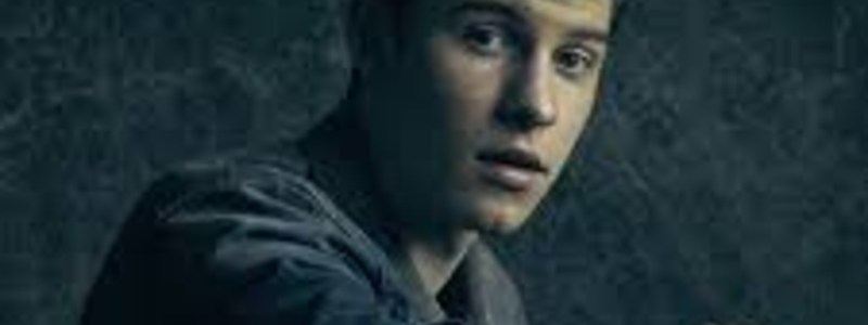 Cuanto sabes de Shawn Mendes