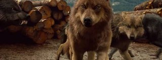 Eres hombre lobo o vampiro