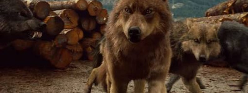 Eres hombre lobo o vampiro