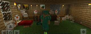 Cuanto sabes de minecraft