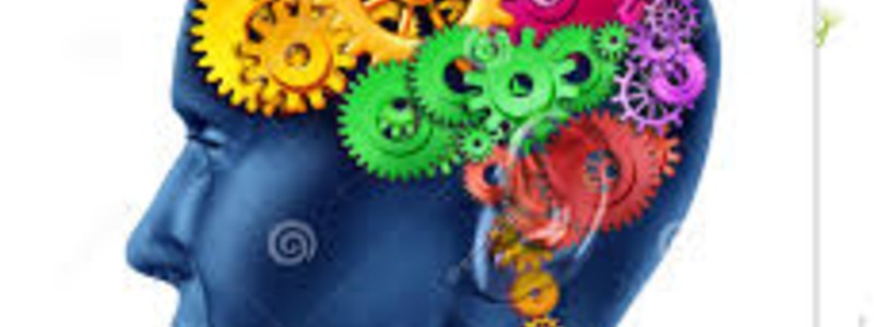 test de inteligencia