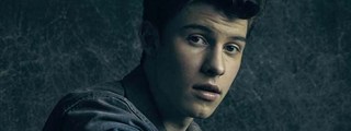 cuanto conoces a shawn mendes?