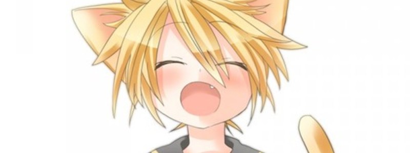 Que  tan   kawaii   eres x3