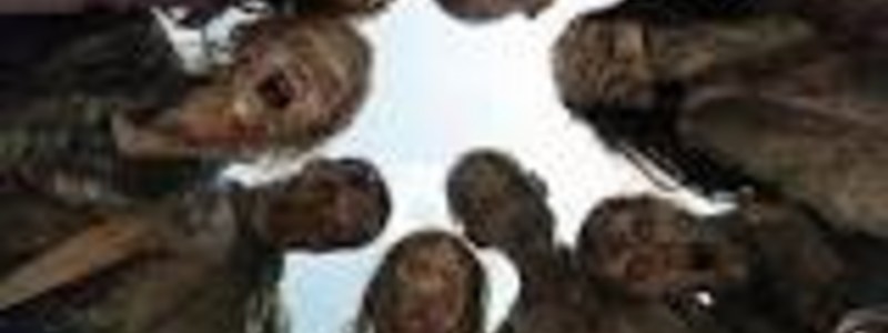 Test De Supervivencia Zombie-Quiz