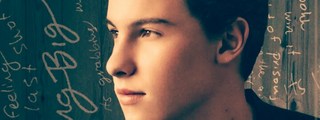 Cuanto conoces a shawn mendes?
