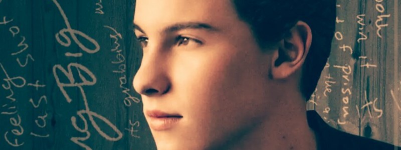 Cuanto conoces a shawn mendes?