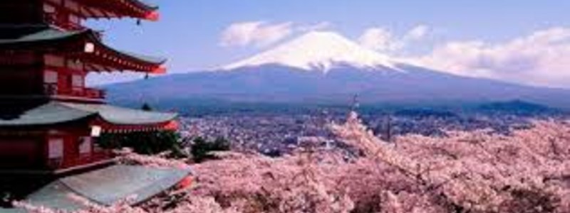 ¿Que tanto de japon sabes?