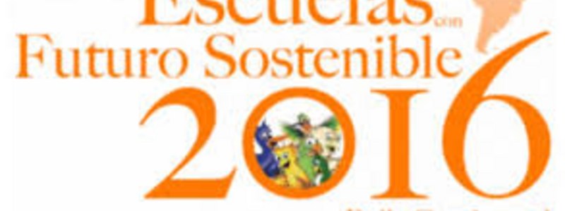 ¿Cómo ser colegio líder en el Rally Continental Escuelas co
