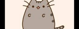 ¿¿Eres un gato kawaii???????????????