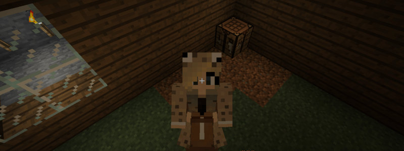 que youtuber de minecraft eres ?