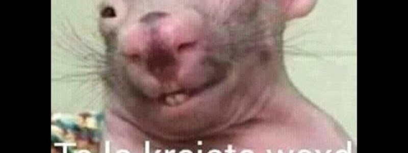 Como saber si eres pendejo