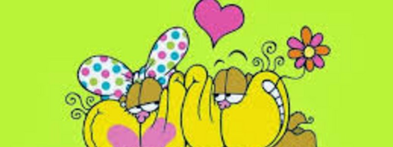Que gaturro eres?